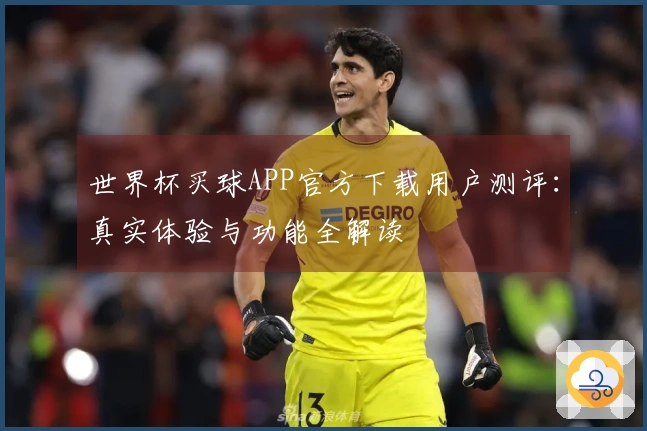 世界杯买球APP官方下载用户测评：真实体验与功能全解读