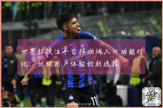 世界杯投注平台移动端入口功能对比：优化用户体验的新选择