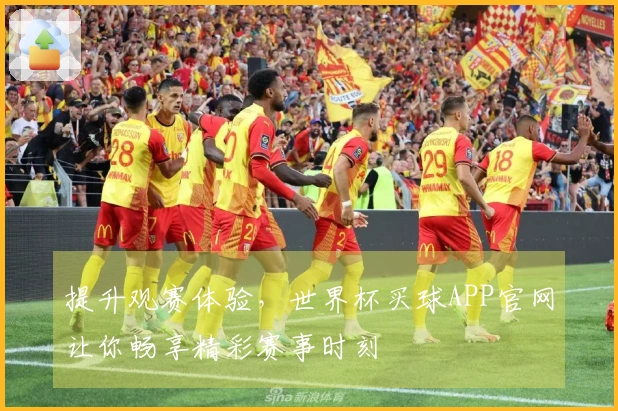 提升观赛体验，世界杯买球APP官网让你畅享精彩赛事时刻