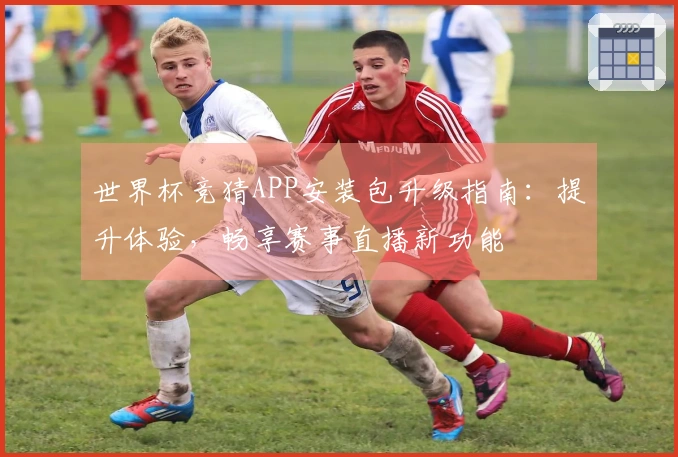 世界杯竞猜APP安装包升级指南：提升体验，畅享赛事直播新功能