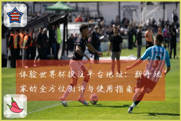 体验世界杯投注平台地址：新手玩家的全方位测评与使用指南