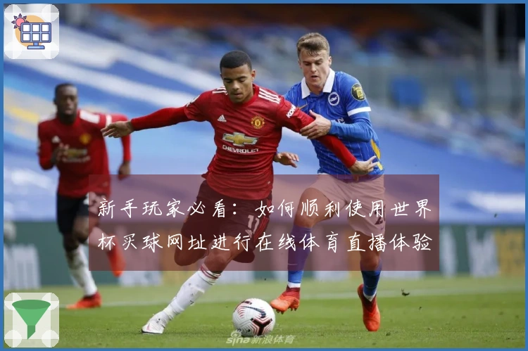 新手玩家必看：如何顺利使用世界杯买球网址进行在线体育直播体验