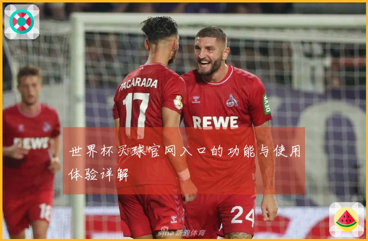 世界杯买球官网入口的功能与使用体验详解