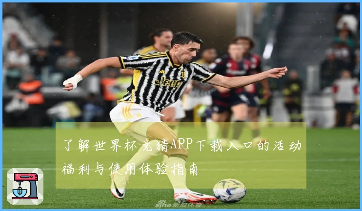 了解世界杯竞猜APP下载入口的活动福利与使用体验指南