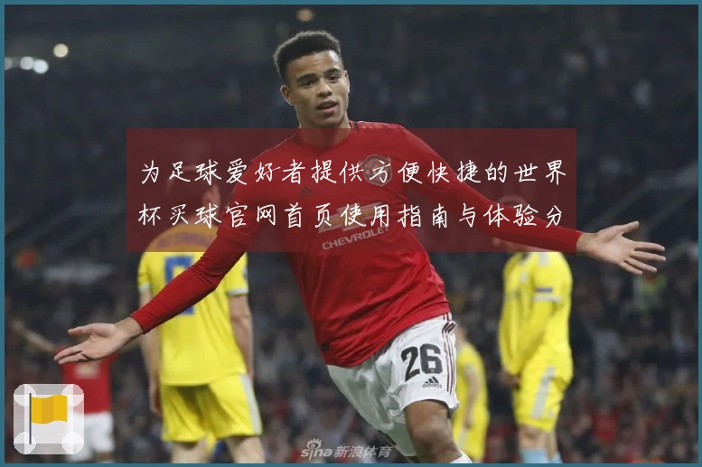 为足球爱好者提供方便快捷的世界杯买球官网首页使用指南与体验分享
