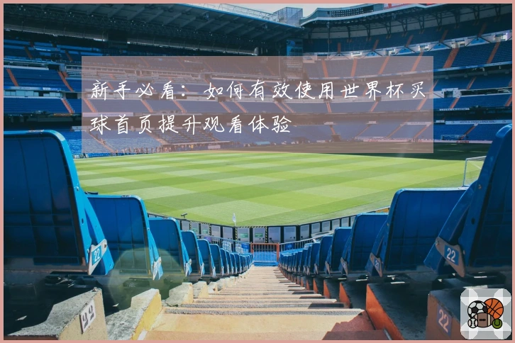 新手必看：如何有效使用世界杯买球首页提升观看体验