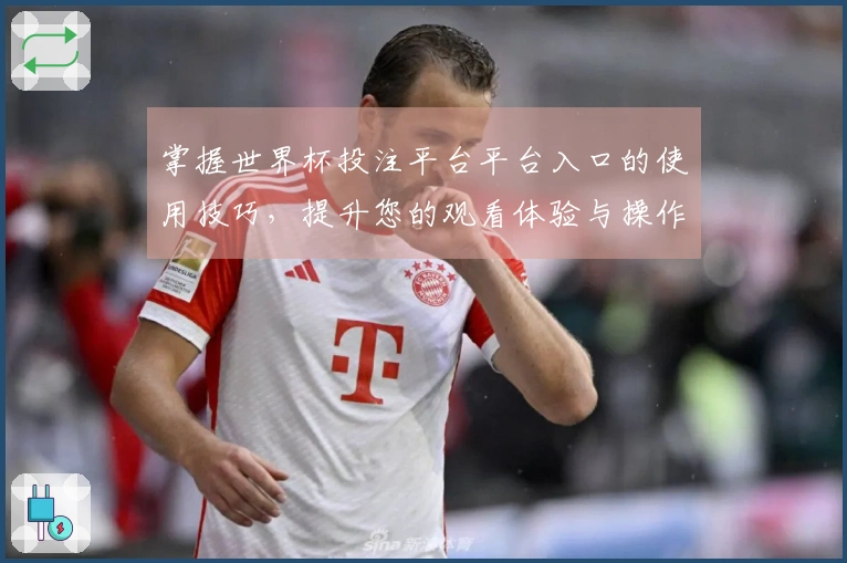 掌握世界杯投注平台平台入口的使用技巧，提升您的观看体验与操作便捷性